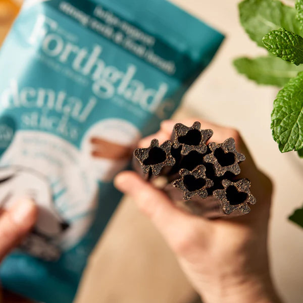Forthglade Plant based dental sticks