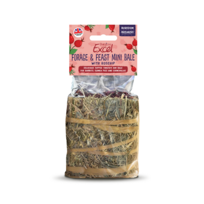 Burgess Excel Forage & Feast Mini Hay Bales with Rosehip