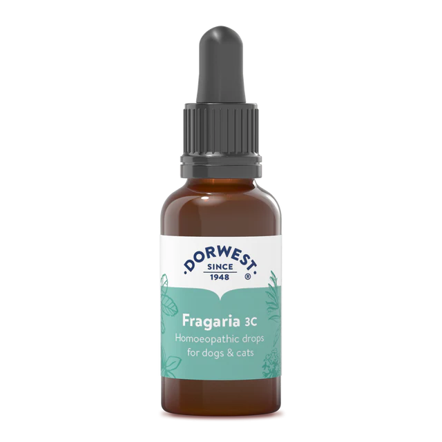 Fragaria 3C