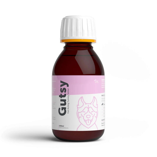 GUTSY – Fast-acting Tummy Suspension for Dogs & Puppies 250ml