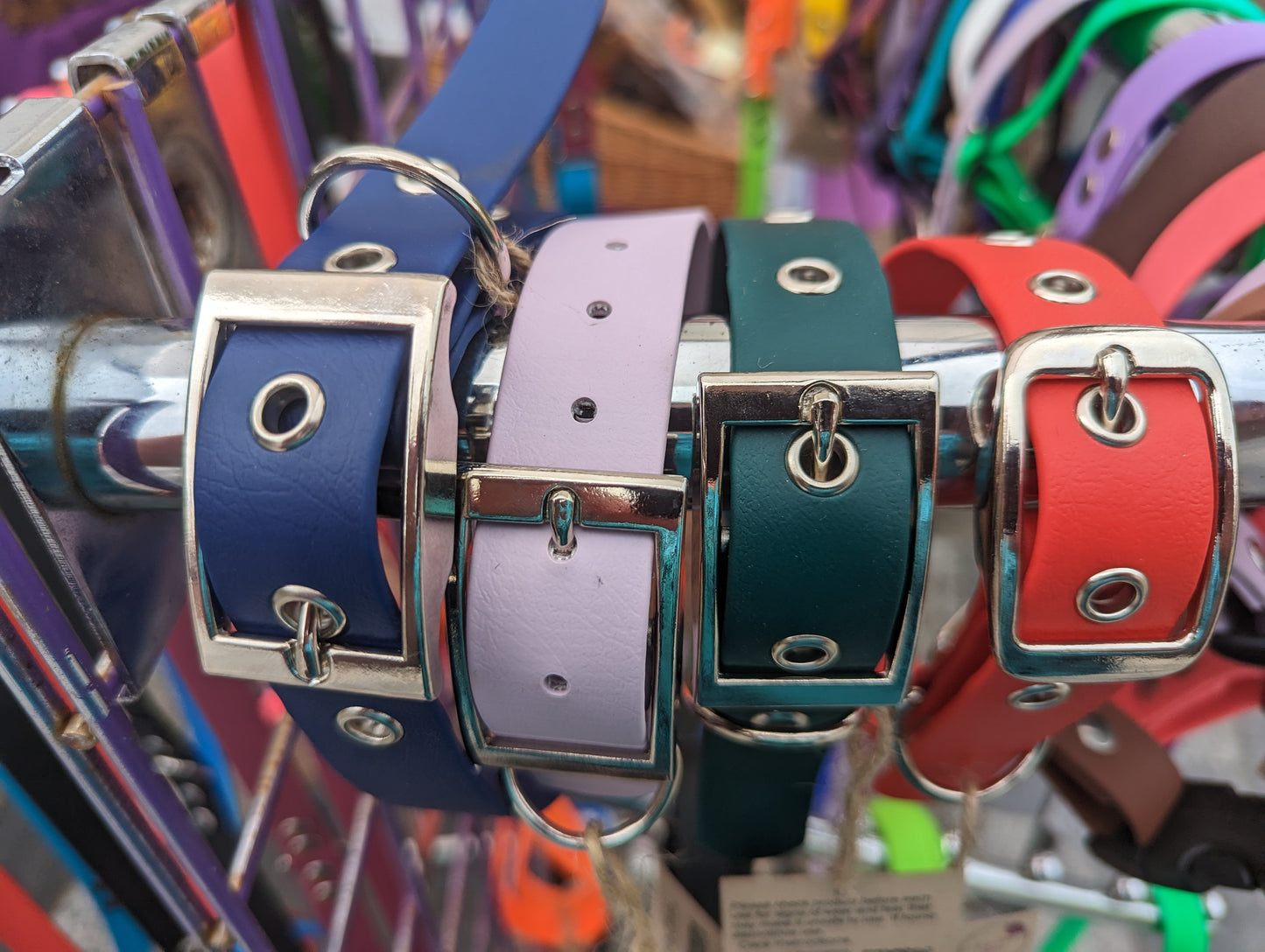 BioThane® Dog Collar, 25mm width - Buckle