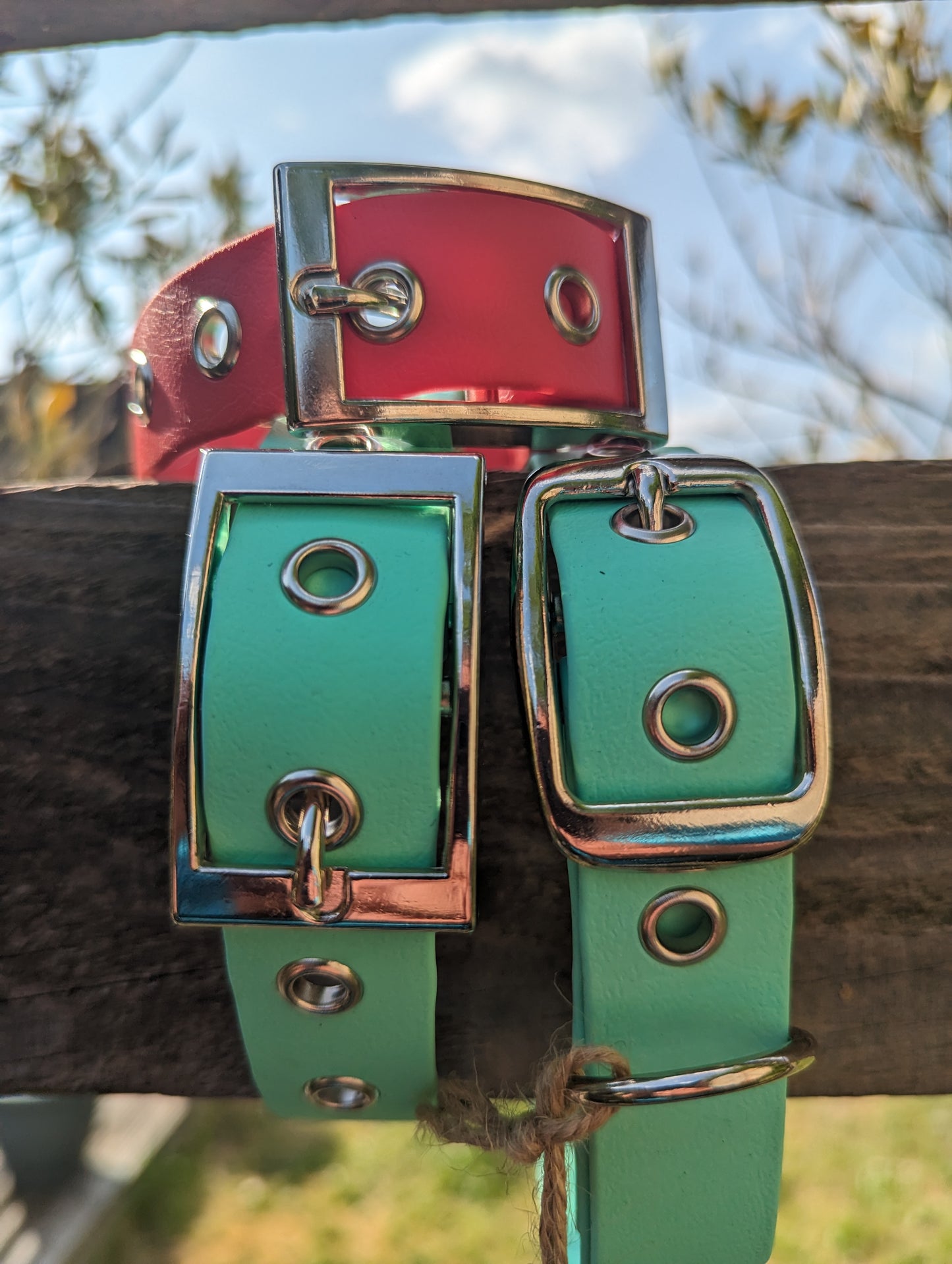 BioThane® Dog Collar, 25mm width - Buckle