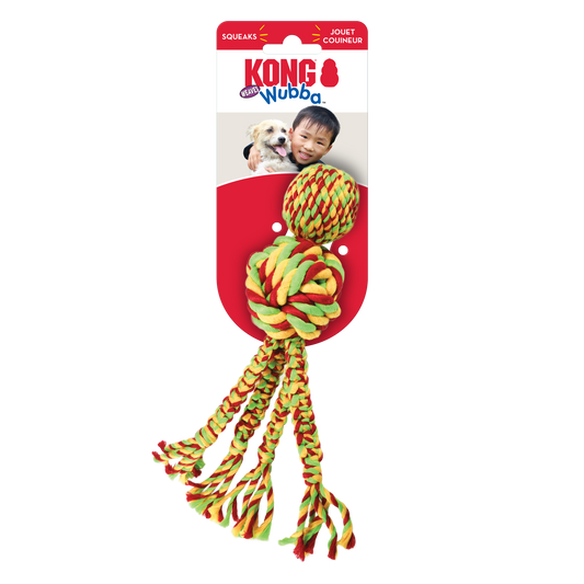 KONG Wubba Weaves w/Rope Assorted