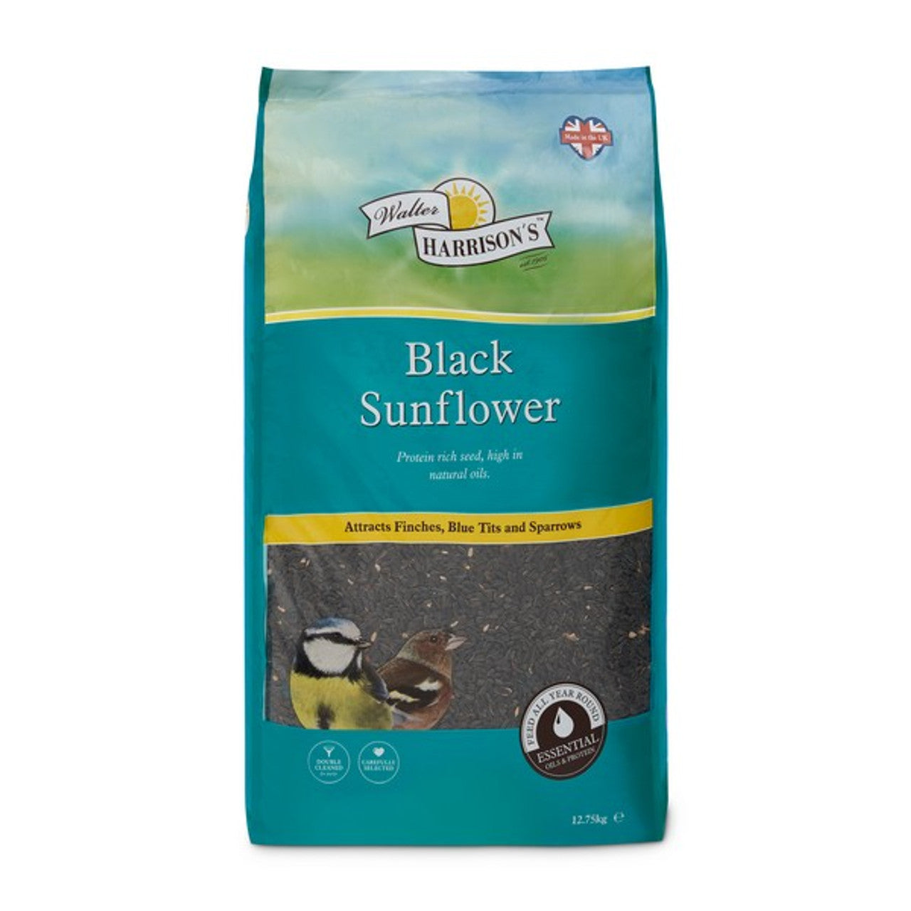 Harrisons Black Sunflower