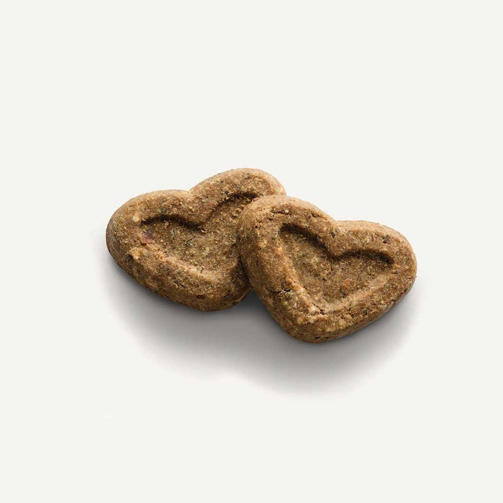 Canagan Country Game Biscuit Bakes for Dogs
