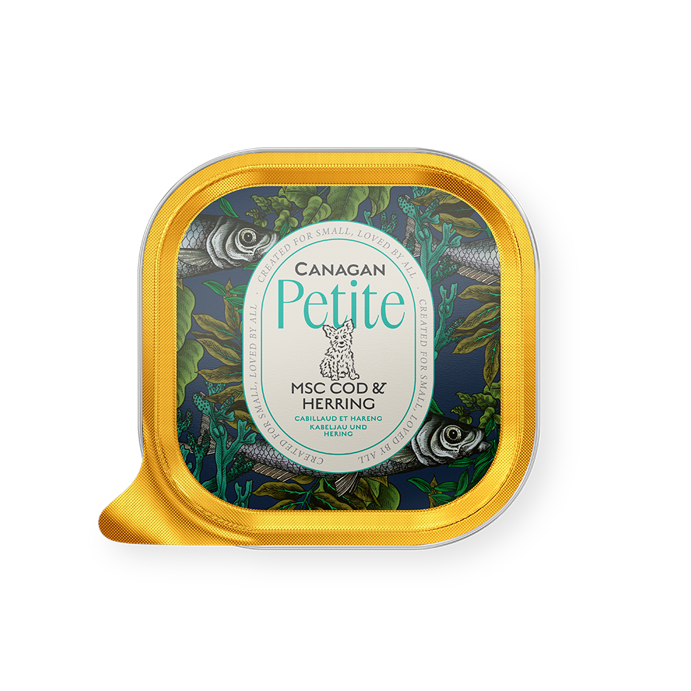 Canagan Petite MSC Cod & Herring Pate