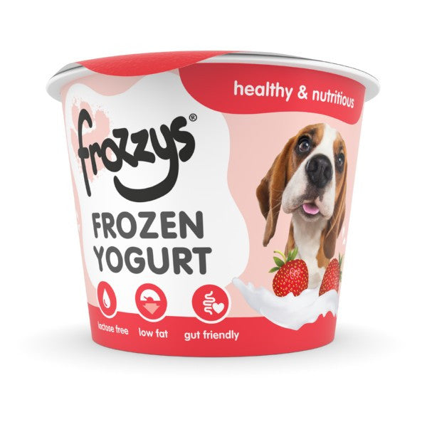 Frozzys Strawberry Frozen Yogurt for Dogs 85g