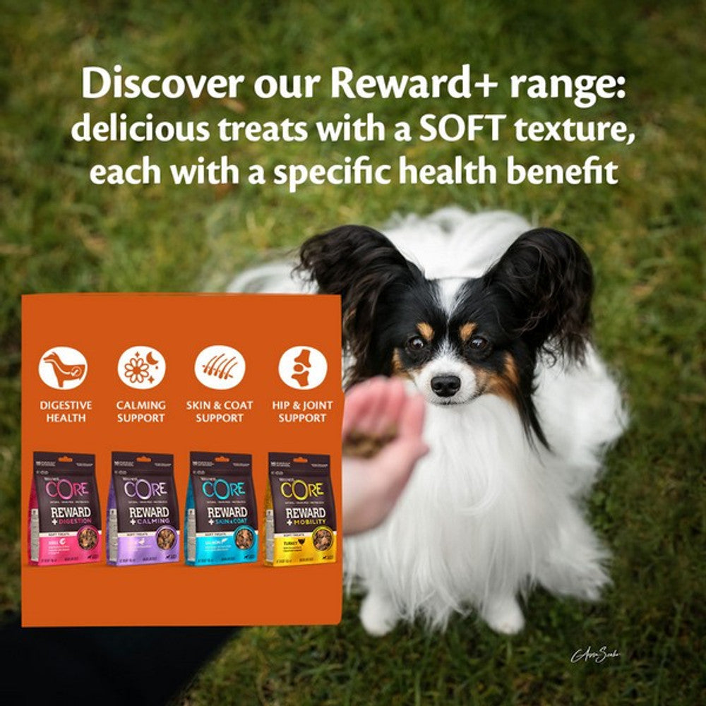 Dog standing on grass with a hand holding a packet of CORE Reward+ dog treats, text about the Reward+ range.