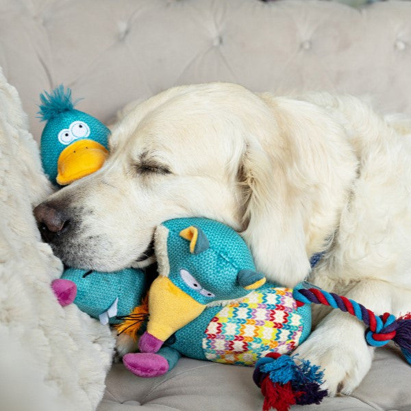 Animal Instincts Teal Tails Ted the Fox Plush