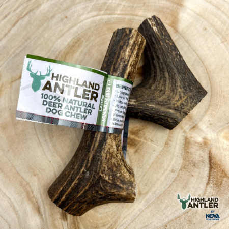 Whole Highland Antler