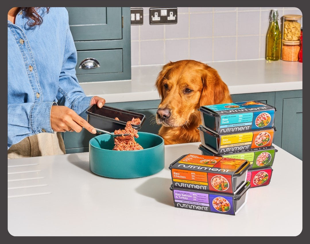 Chicken & Lamb Formula Nutriment Raw