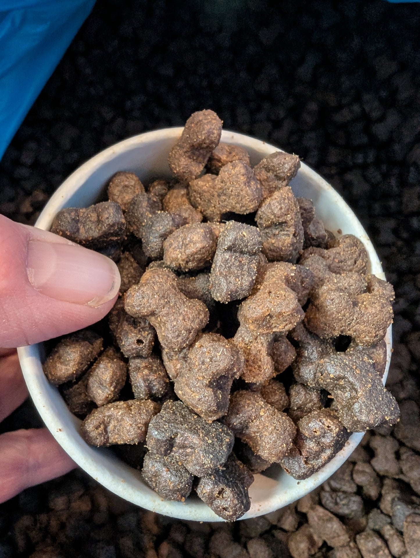 Salmon & potato dog training treats