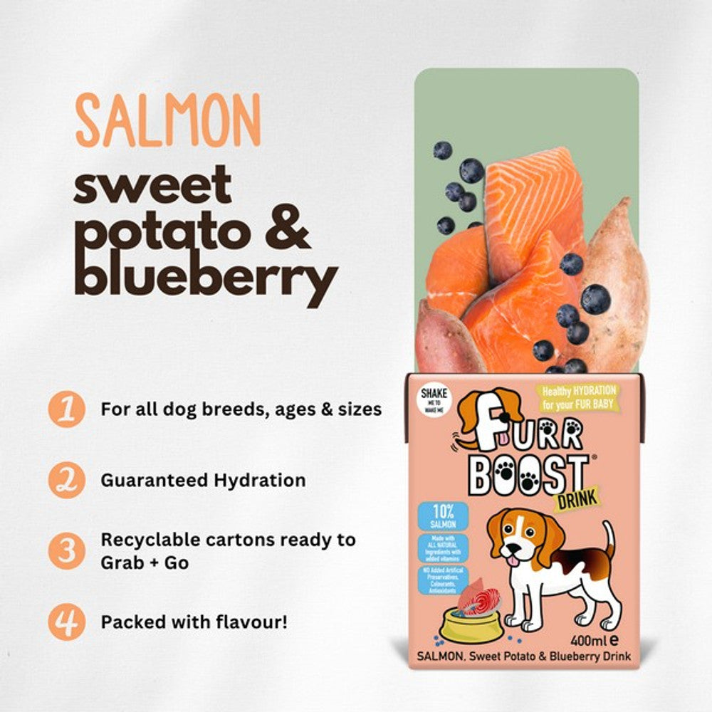 Furr Boost Salmon, Sweet Potato & Blueberry, 400ml
