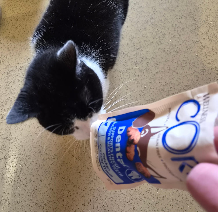 Cat Treats
