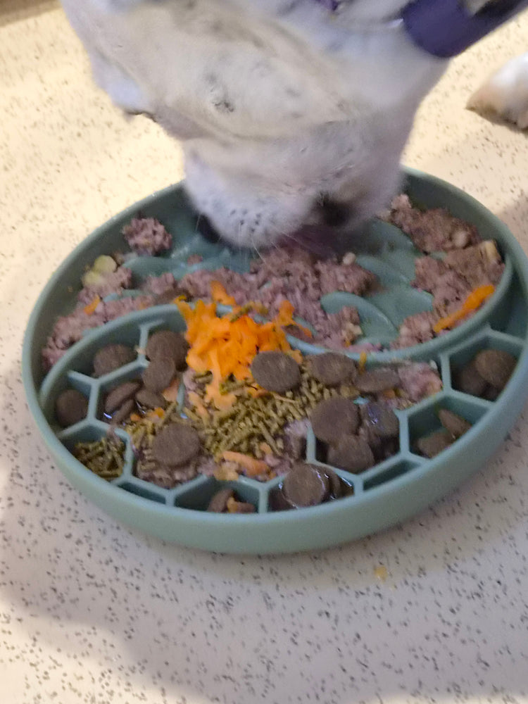 Slow feeder & Lick Mats