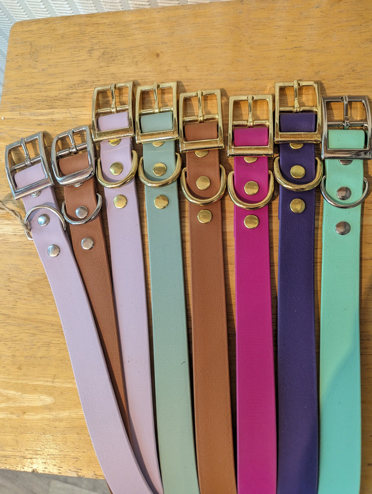 Buckle collars, in a range of colours with brass & nickel plated buckles
