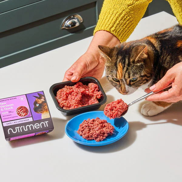 Raw Cat Food