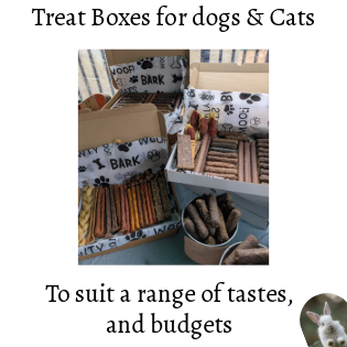 Treat Boxes