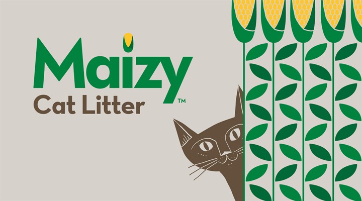 Maizy