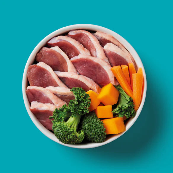 Duck Formula Nutriment Raw