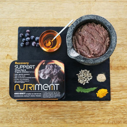 Nutriment Recovery Support - 500g