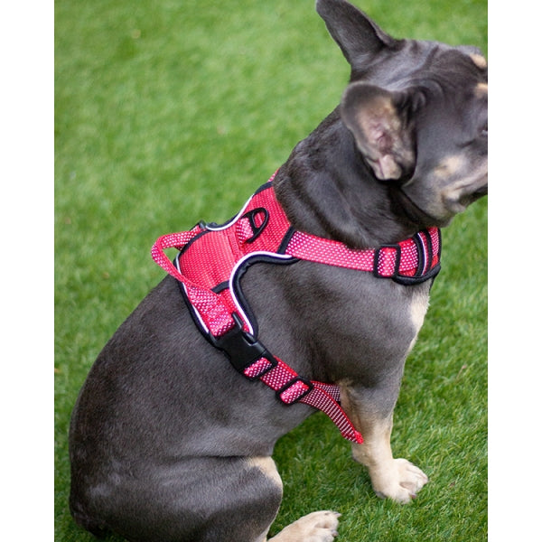 Dog Full Reflective Harness - Red