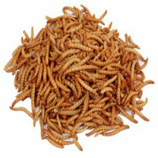 Dried Mealworm per 100g