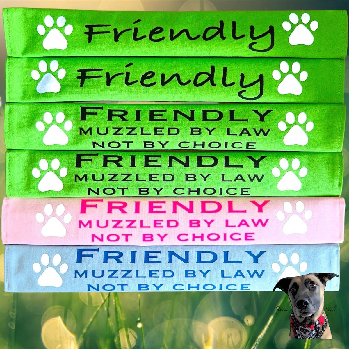 Storms Style - Lead Slips - Reactive, Nervous, Blind, Deaf, Friendly: Blind Dog