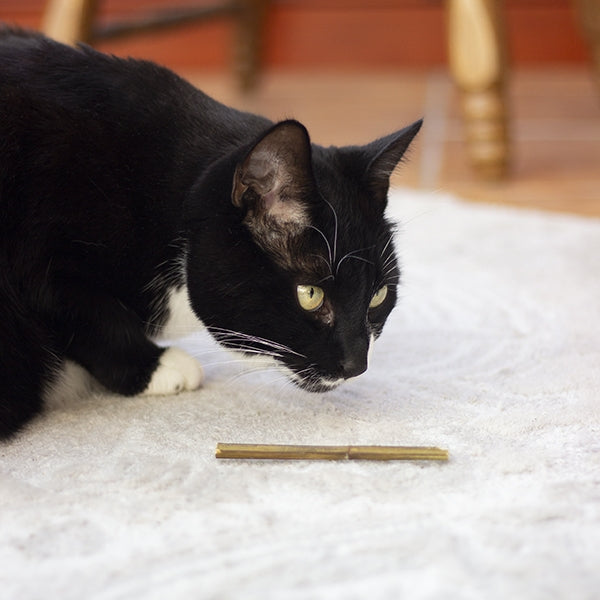 Naturals for Cat Catnip Sticks