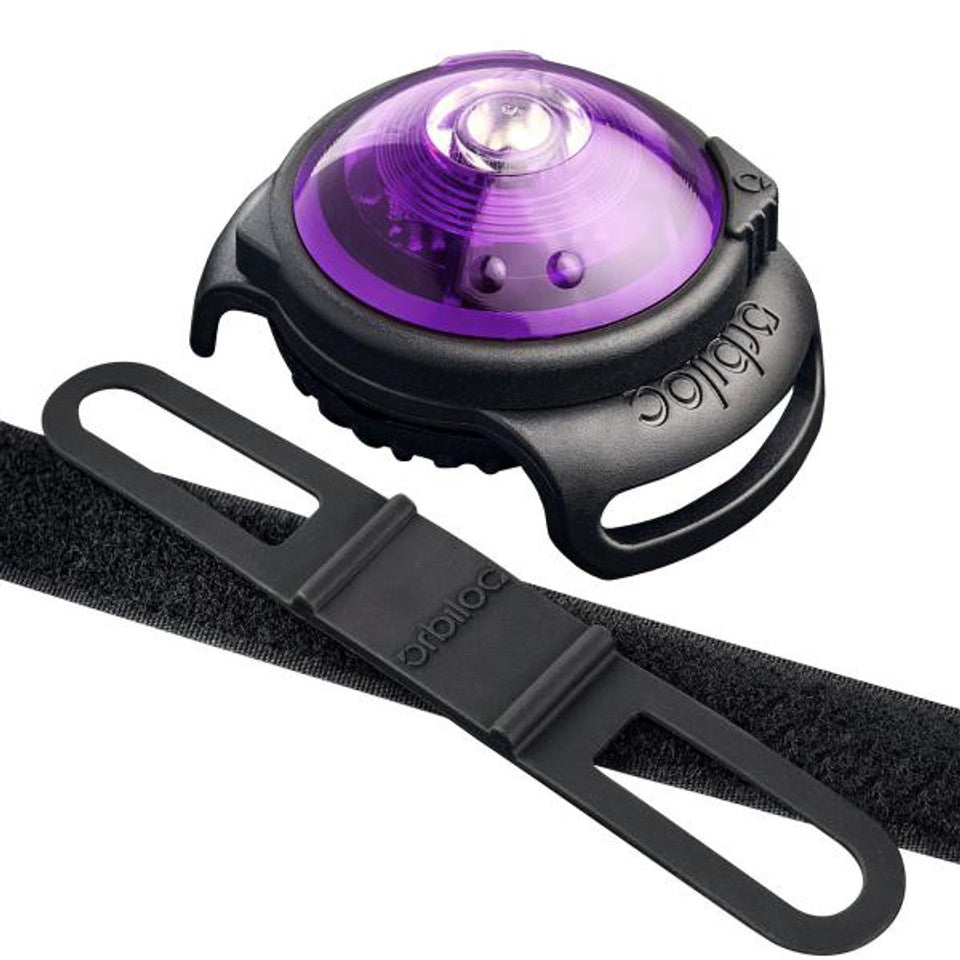 Orbiloc Dog Dual Safety Light - Purple