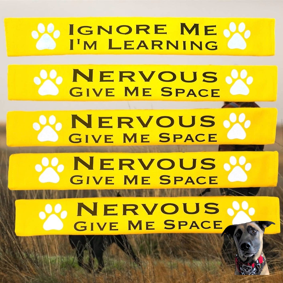 Storms Style - Lead Slips - Reactive, Nervous, Blind, Deaf, Friendly: Blind Dog