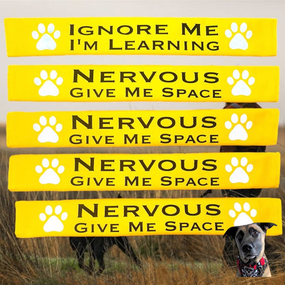 Storms Style - Lead Slips - Reactive, Nervous, Blind, Deaf, Friendly: Blind Dog