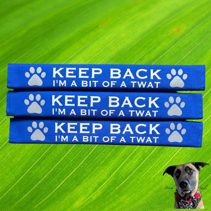 Storms Style - Lead Slips - Reactive, Nervous, Blind, Deaf, Friendly: Blind Dog