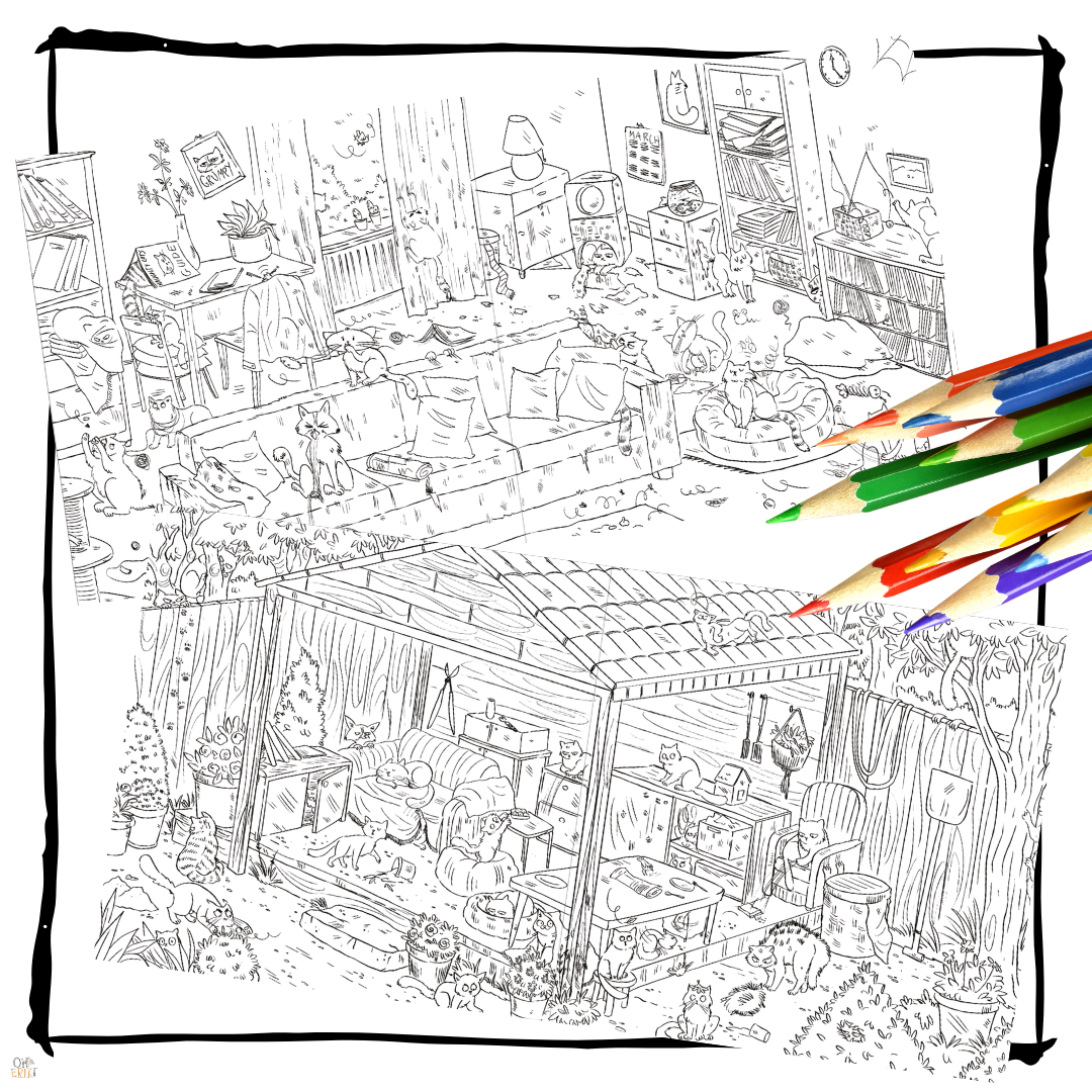 Oh Erik! - Oh Erik – Chaotic Catitude Colouring