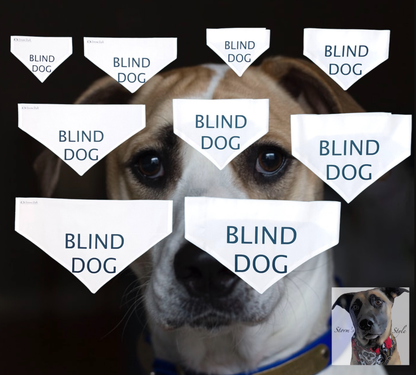 Storms Style - Blind Dog Bandanas: On The Collar / Small