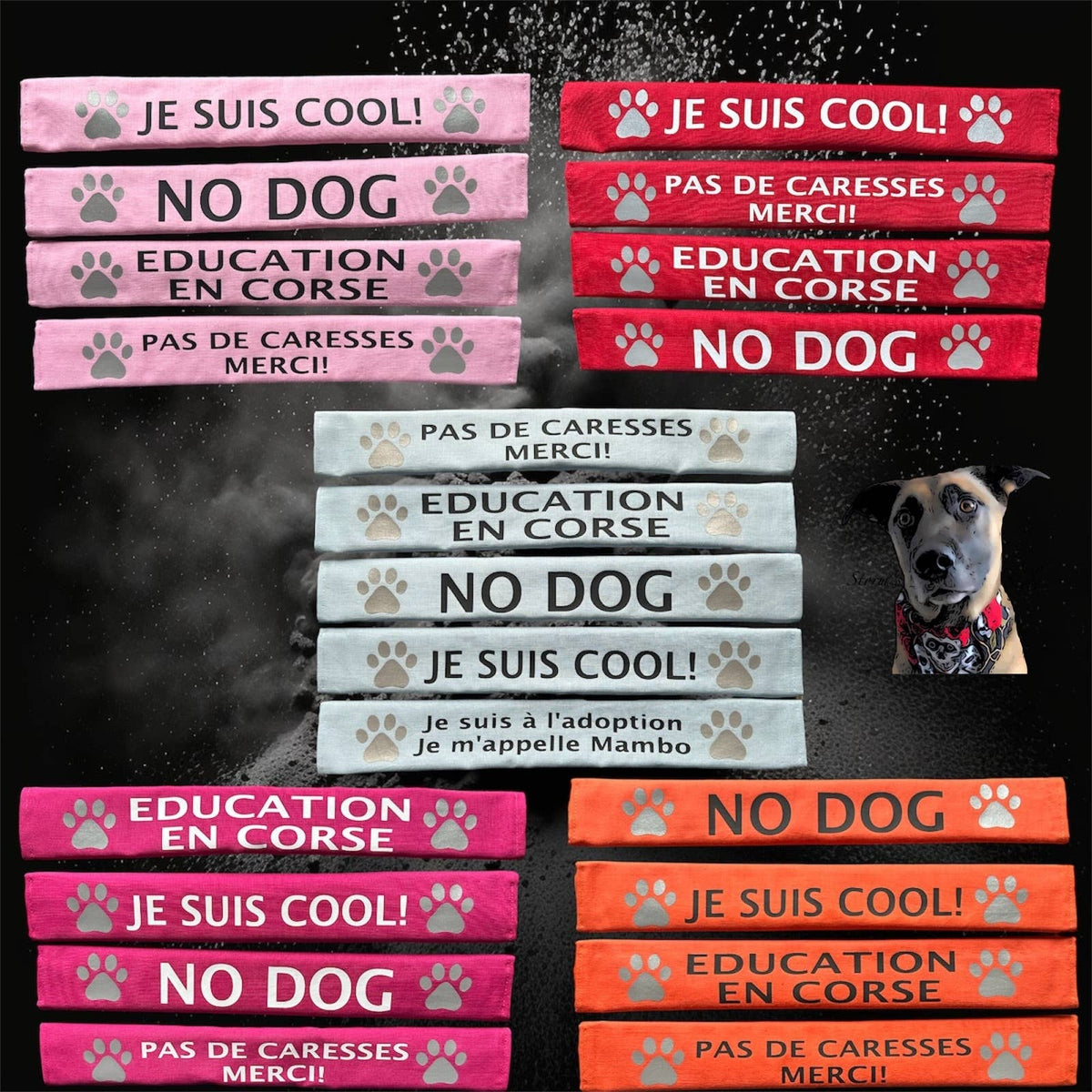 Storms Style - Lead Slips - Reactive, Nervous, Blind, Deaf, Friendly: Blind Dog