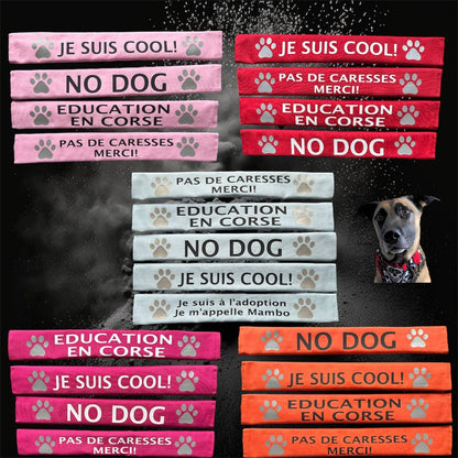 Storms Style - Lead Slips - Reactive, Nervous, Blind, Deaf, Friendly: Blind Dog