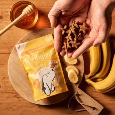 Forthglade rewards training multi-functional soft bites with honey & banana