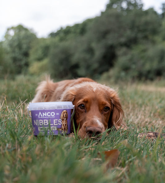 Anco Nibbles 300g