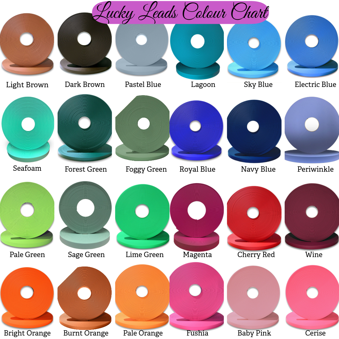 BioThane® Key Ring - Solid Colour