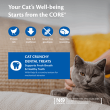 Wellness CORE Cat dental treats chicken - 50g