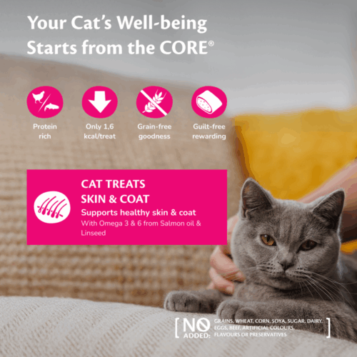 Wellness CORE treats skin & coat, chicken with salmon - 50G