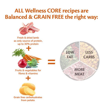 Diagram explaining balanced and grain-free wellness core recipes with images of protein sources and a pie chart.