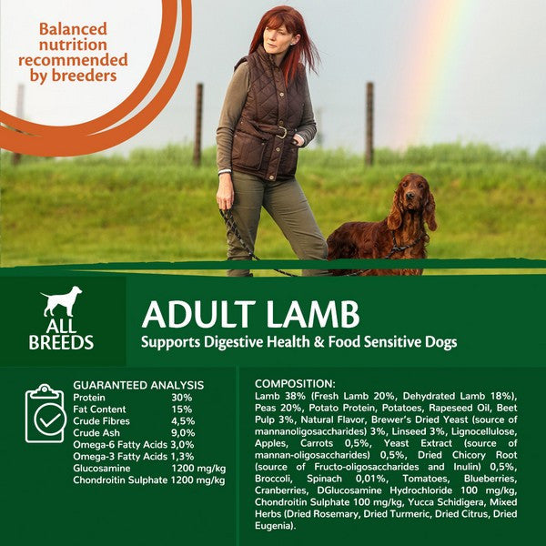 Wellness CORE Dog Dry Adult Lamb