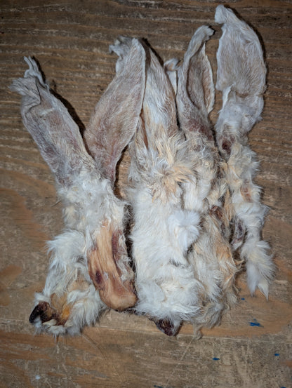 a handful of hairy rabbit ears on a table.