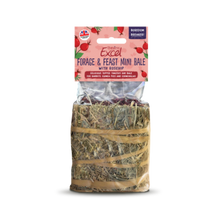 Burgess Excel Forage & Feast Mini Hay Bales with Rosehip