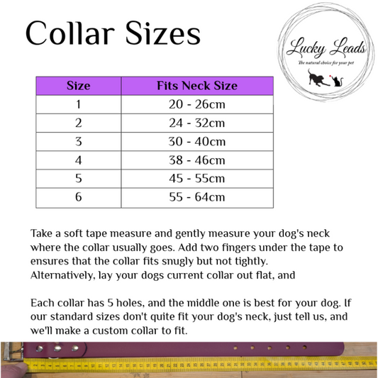 BioThane® Dog Collar - 19mm wide