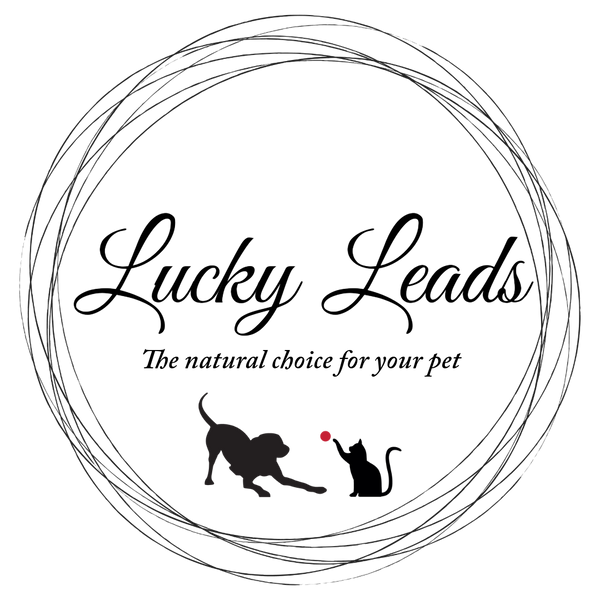 Lucky Leads Ltd