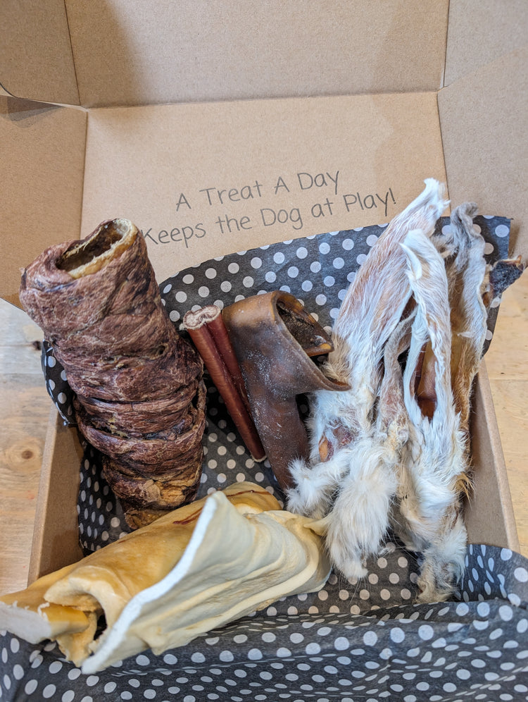 A variety of dog treats and chews inside an open box, all air dried. 
