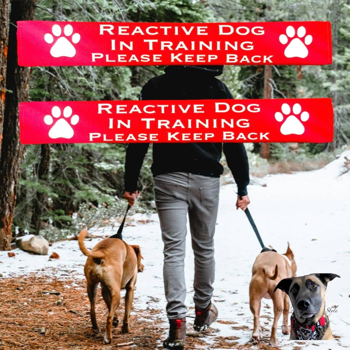 Storms Style - Lead Slips - Reactive, Nervous, Blind, Deaf, Friendly: Blind Dog